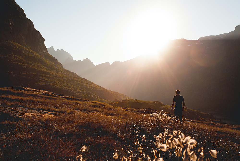 (Unsplash/Dennis Ottink) (Unsplash/Dennis Ottink)